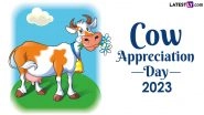 Cow Appreciation Day 2023 Date and Theme: Know History and Significance of the Day That Values the Importance of Cows in Our Daily Lives