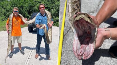 22-Year-Old Florida Man Catches Massive 19-Foot-Long Burmese Python (View Pics)