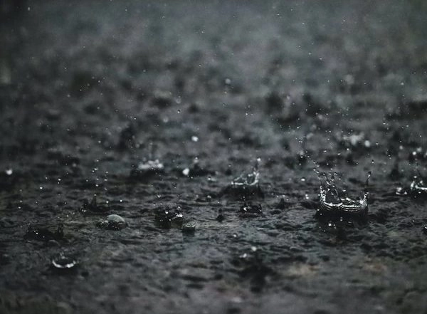 India News | IMD Issues Red, Orange Alerts for Several Districts in Kerala