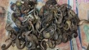 India News | TN: Man Arrested for Smuggling Seahorses in Ramanathapuram