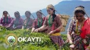 Business News | Okayti Launches Tea Tour, Plans to Boost Tourism in North Bengal