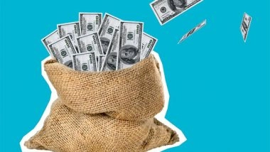 Business News | Discover the Hidden Opportunities of Online Income: Insights from Dollars Bag