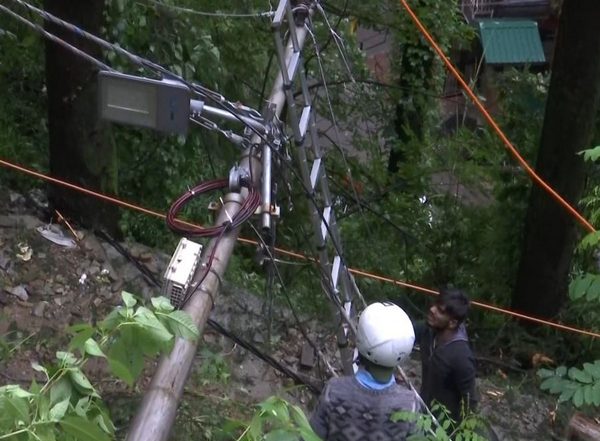India News | Himachal Pradesh: Trees Uprooted, Electricity Poles Damaged After Heavy Rains in Shimla