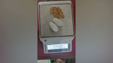 India News | Kerala: Gold Seized at Cochin Airport, Passenger Detained&nbsp;