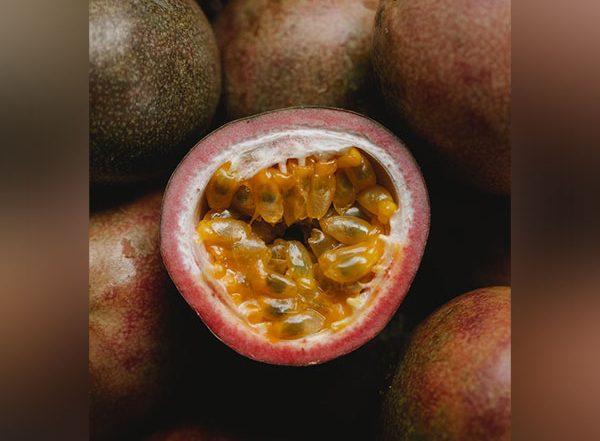 World News | Bhutan: Successful Trial Cultivation of Passion Fruit Encourages Other Farmers in Zhemgang