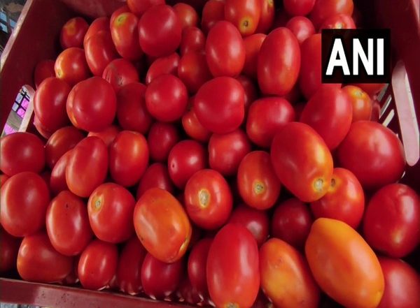 India News | Retail Outlets in Delhi-NCR to Distribute Tomato at Discounted Prices