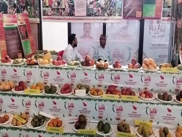India News | Uttar Pradesh Mango Festival Attracts Many Visitors - Vimarsana News