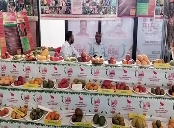 India News | Uttar Pradesh Mango Festival Attracts Many Visitors