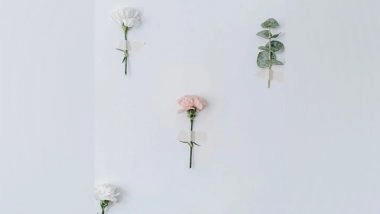 Science News | Study Finds Multiple Uses of Tropical Mosaic Landscapes