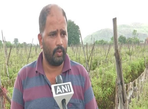 India News | Pune Farmer Earns Rs 2.8 Cr Selling Tomatoes, Sets Target to Reach Rs 3.5 Cr
