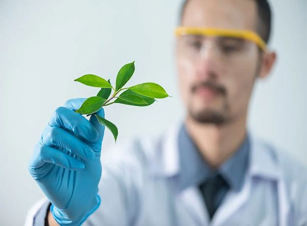 Science News | Plant Worlds in Remote Locations
