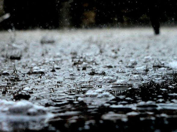 India News | Heavy Rainfall In Uttarakhand Leads to Rise in River Water Levels; SDRF Teams on High Alert - Vimarsana News