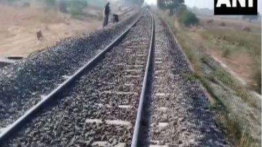 Gujarat: Asiatic Lion Run Over by Goods Train While Crossing Railway Track in Amreli (Watch Video)