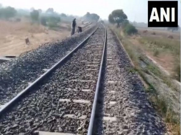 Asiatic Lion Run over by Goods Train in Gujarat’s Amreli