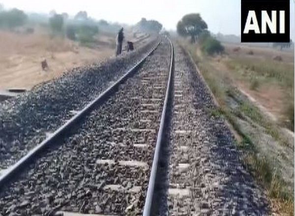 Gujarat: Asiatic Lion Run Over by Goods Train While Crossing Railway Track in Amreli (Watch Video)