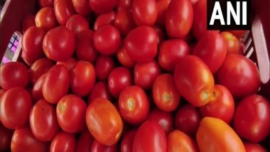 India News | Tomato Prices to Go Down Following New Crop Arrival from Maharashtra, MP: Govt