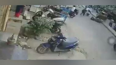 Bull Goes on Rampage in Delhi: Bike Rider Comes Under the Wrath of Bull in Geeta Colony, Scary Video Surfaces