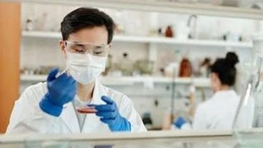 Science News | Researchers Use Extraembryonic Tissue to Produce Entities That Resemble Human Embryos