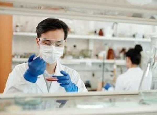 Science News | Researchers Use Extraembryonic Tissue to Produce Entities That Resemble Human Embryos