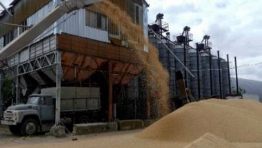 World News | Concerns Rise in East Africa as Russia Pulls out of Ukrainian Grain Deal