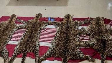 Odisha: Four Leopard Skin Sized by Forest Department in Mayurbhanj, Three Arrested