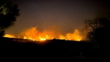World News | Greece Witnesses Largest-ever Evacuation as Tourists Flee Rhodes Wildfires
