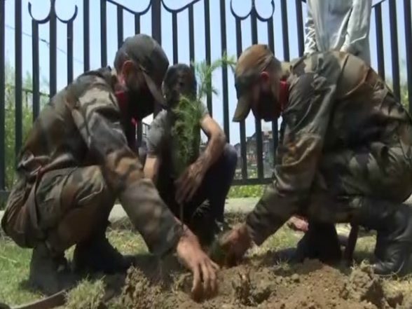 India News | BSF Aims to Plant 12 Lakh Saplings Along Western Borders of Country - Vimarsana News