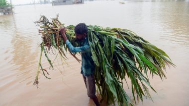 World News | With Rain and Heavy Floods, Farmers' Struggle with Crop Loss Continue in Punjab
