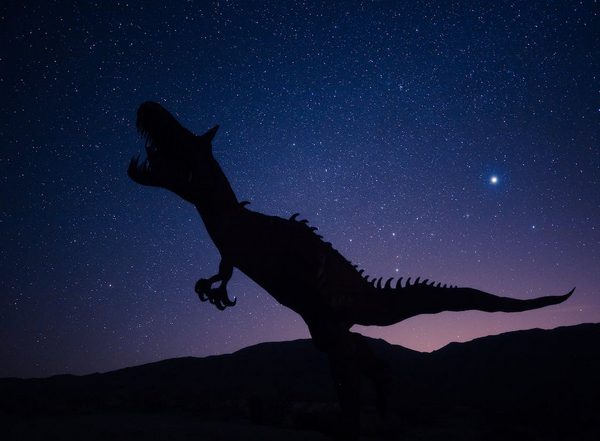 Science News | Newly Described Fossil Had Armoured Plates Above Its Backbone