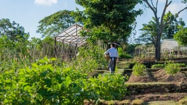 Business News | The Reimagined AYANA Farm at AYANA Estate Reopens July 2023 with Diverse Range of Guest Experiences