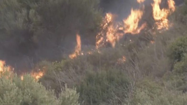 Spain Wildfire Video: Spanish Island of Tenerife Engulfs in Huge Forest Fire, Evacuations Underway