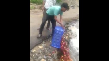 Himachal Pradesh: Video of Apple Growers Dumping Produce in Stream Goes Viral, Minister Jagat Singh Negi Orders Probe