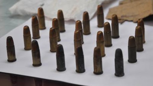 Delhi: Retired UP Government Official Detained at Delhi IGI Airport for Carrying 19 Bullets
