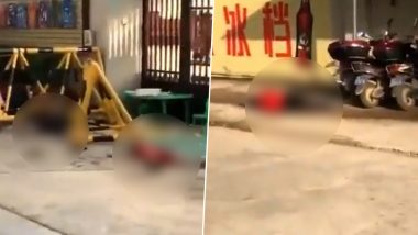 China Stabbing Video: Man With Knife Murders Six People Including Kids at Kindergarten in Lianjiang, Arrested; Disturbing Visuals Surface