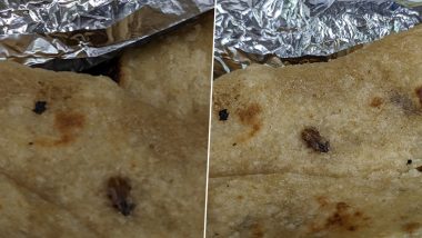 Vande Bharat Express Shocker: Passenger Finds Cockroach in His Food Onboard Train18, Shares Photos of Meal on Social Media; IRCTC Says Hefty Penalty Imposed on Service Provider (See Pics)