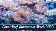 Coral Reef Awareness Week 2023 Dates: History and Significance of the Week That Raises Awareness About the Importance of Protecting Coral Reefs