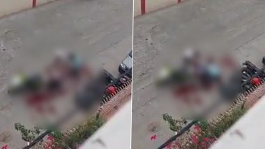 Murder Caught on Camera in Delhi! Man Stabbed to Death in Broad Daylight, Graphic Video Surfaces (Viewer Discretion Advised)