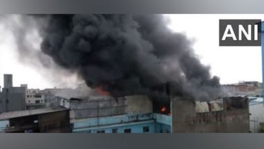 Delhi Fire Video: Massive Blaze Erupts at Shoe Factory in Udyog Nagar, 13 Fire Engines on Spot