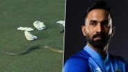 'The Naagin is Back&hellip;.' Dinesh Karthik Takes Hilarious Jibe at Bangladesh After Snake Enters Ground During Galle Titans vs Dambulla Aura LPL 2023 Match in Colombo