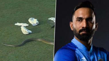 'The Naagin is Back….' Dinesh Karthik Takes Hilarious Jibe at Bangladesh After Snake Enters Ground During Galle Titans vs Dambulla Aura LPL 2023 Match in Colombo