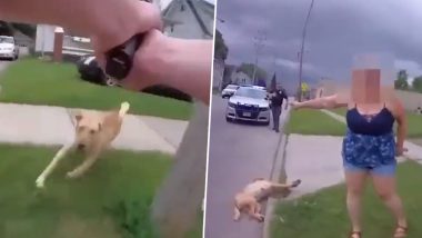 Dog Shot Dead in US Videos: Cop Guns Down Three-Year-Old Golden Retriever Dixie After She Runs Towards Him in Ohio, Viral Clip Surfaces; Lorain Police Department Launch Investigation