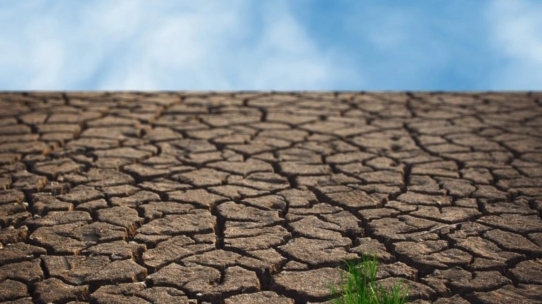 Maharashtra Government Declares ‘Drought’ in 40 Talukas With Scanty Rainfall in First Phase of Kharif Season