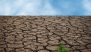 Maharashtra Declares Drought in 265 Talukas; Full List of Relief Measures