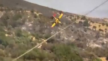 Greek Plane Crash: Air Force Water-Dropping Aircraft Crashes While Diving Into Wildfire; Both Pilots Dies (Watch Video)