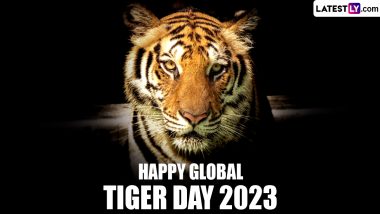 International Tiger Day 2023 HD Images for Free Download: Wallpapers and Quotes To Share and Celebrate the Day