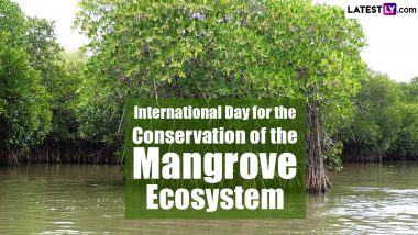 International Day for the Conservation of the Mangrove Ecosystem 2023 Date: Significance of the Day That Stresses the Importance of Mangrove Ecosystem