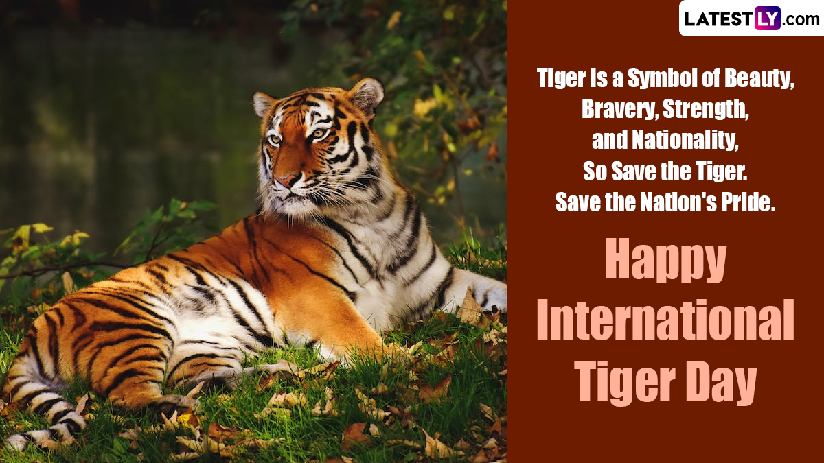 International Tiger Day 2023 Wishes Share These Quotes And Slogans To 