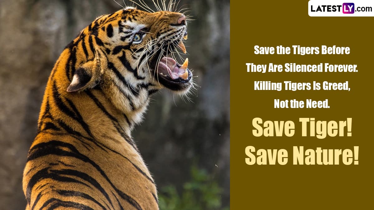 International Tiger Day 2023 Wishes Share These Quotes and Slogans To