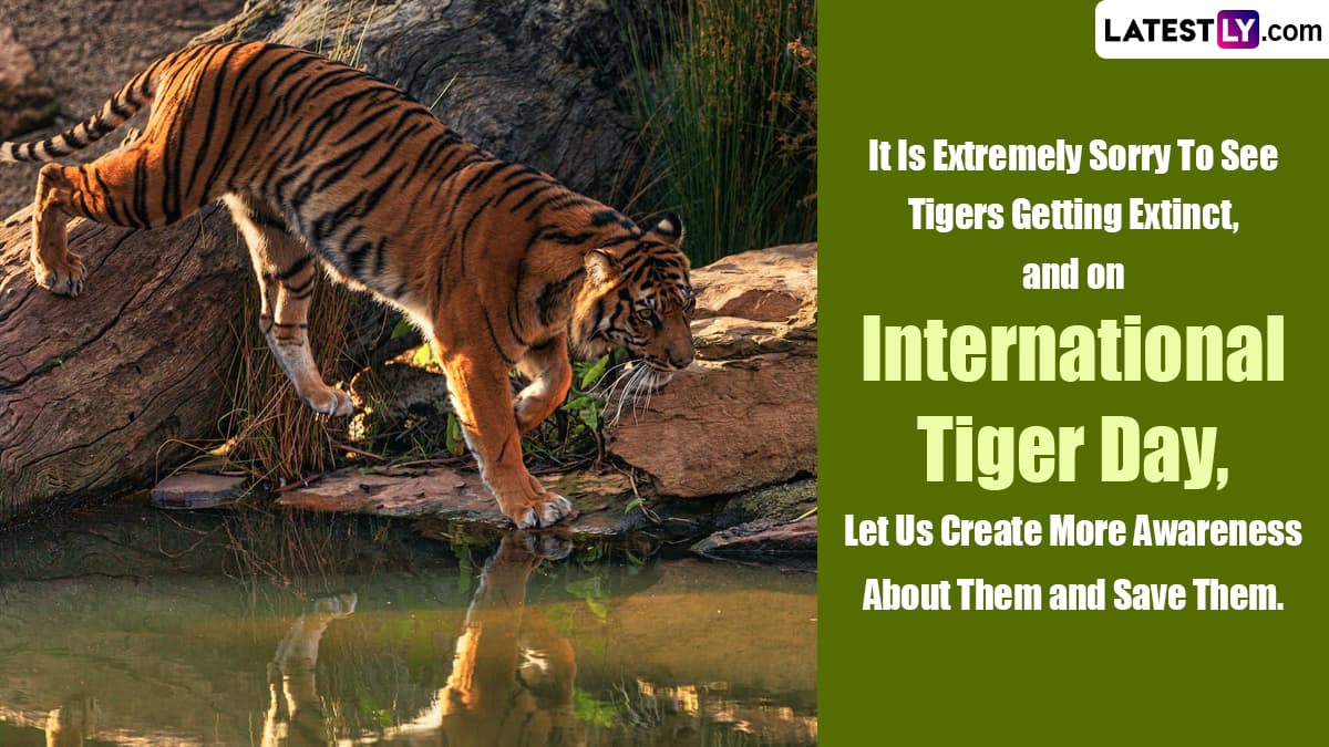 International Tiger Day 2023 Wishes Share These Quotes And Slogans To Raise Awareness Regarding 4678