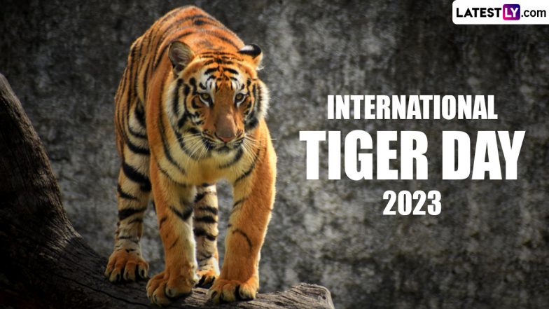 International Tiger Day 2023 Wishes: Share These Quotes and Slogans To Raise Awareness Regarding Protection of Tigers and Their Habitats